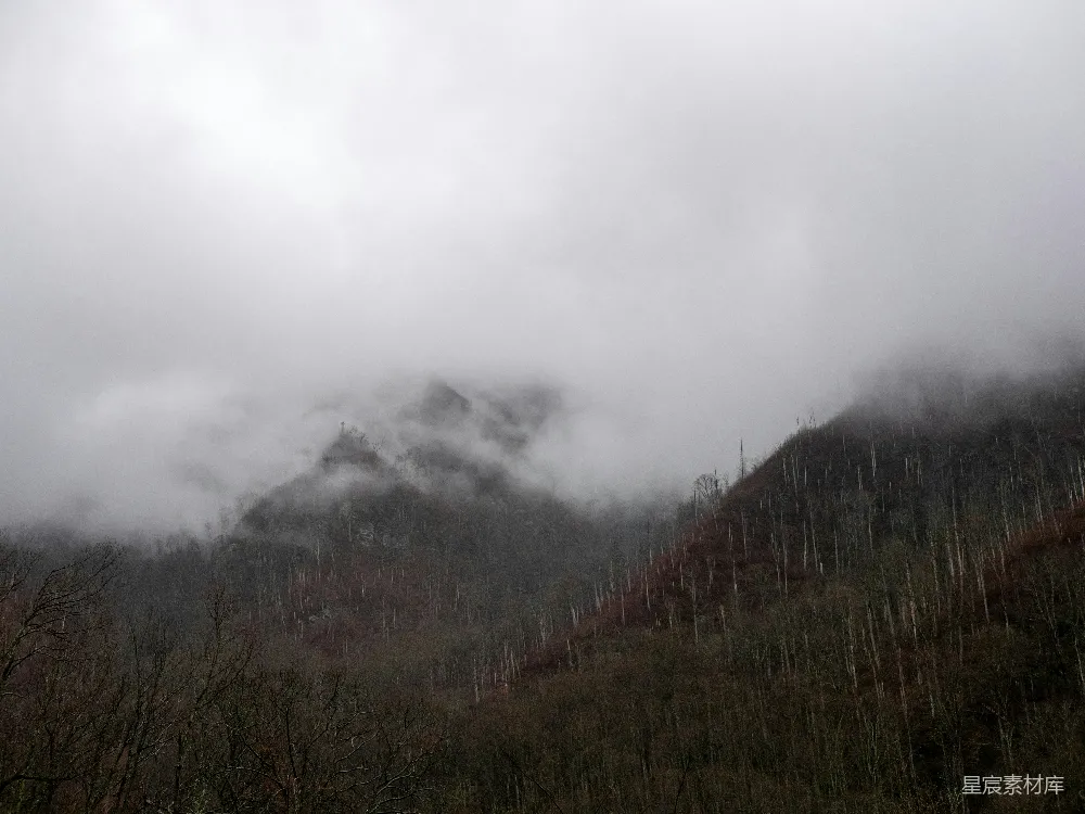 高清摄影 山景 雾气 自然 森林 宁静 雾中的山景