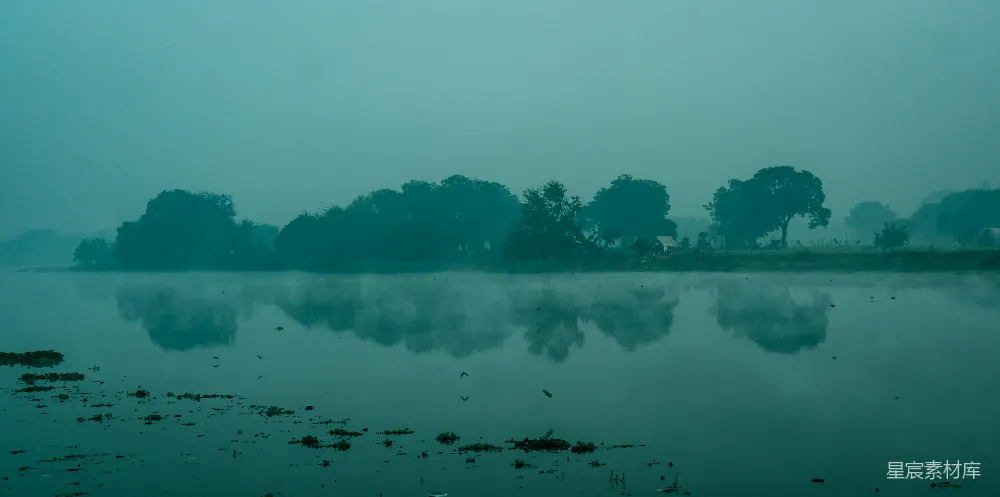 高清摄影 晨雾 宁静 湖景 自然 晨光 晨雾中的宁静湖景