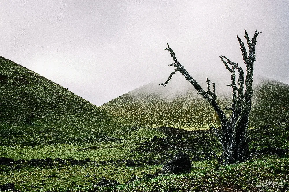 高清摄影 自然 荒凉 山景 雾气 孤独 孤树与雾山