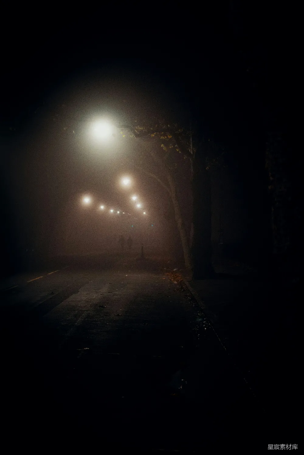 高清摄影 雾 街灯 夜景 孤独 宁静 雾中的街灯