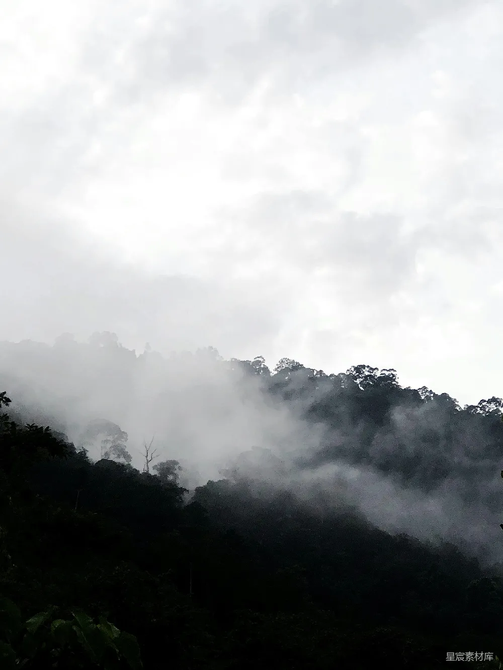 高清摄影 山景 云雾 自然风光 宁静 森林 山间薄雾