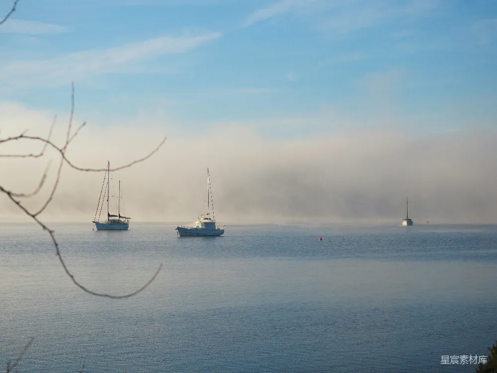 高清摄影 海洋 清晨 宁静 自然 景观 晨雾中的宁静海湾