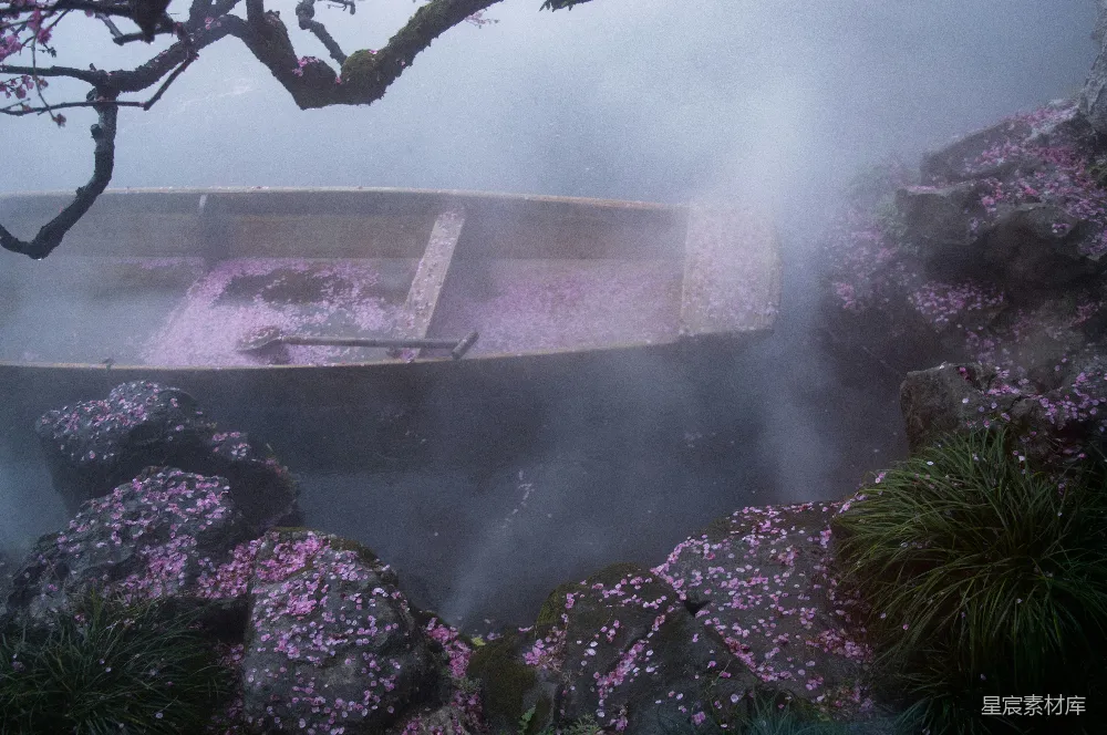 高清摄影 樱花 温泉 雾气 静谧 自然 雾中樱花温泉