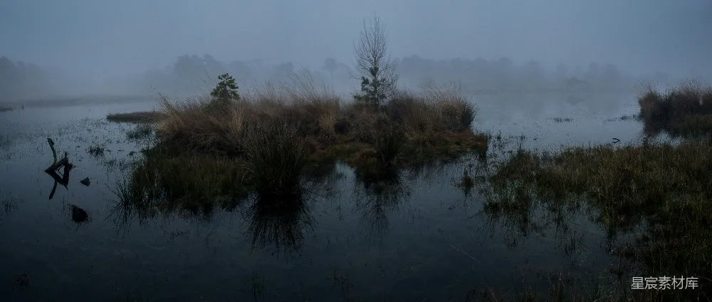 高清摄影 湿地 晨雾 自然景观 宁静 清晨 晨雾中的湿地