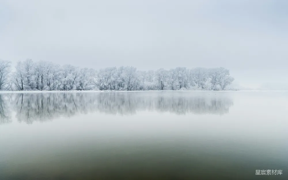 高清摄影 冬日 湖畔 静谧 雪景 自然 冬日湖畔静谧之美