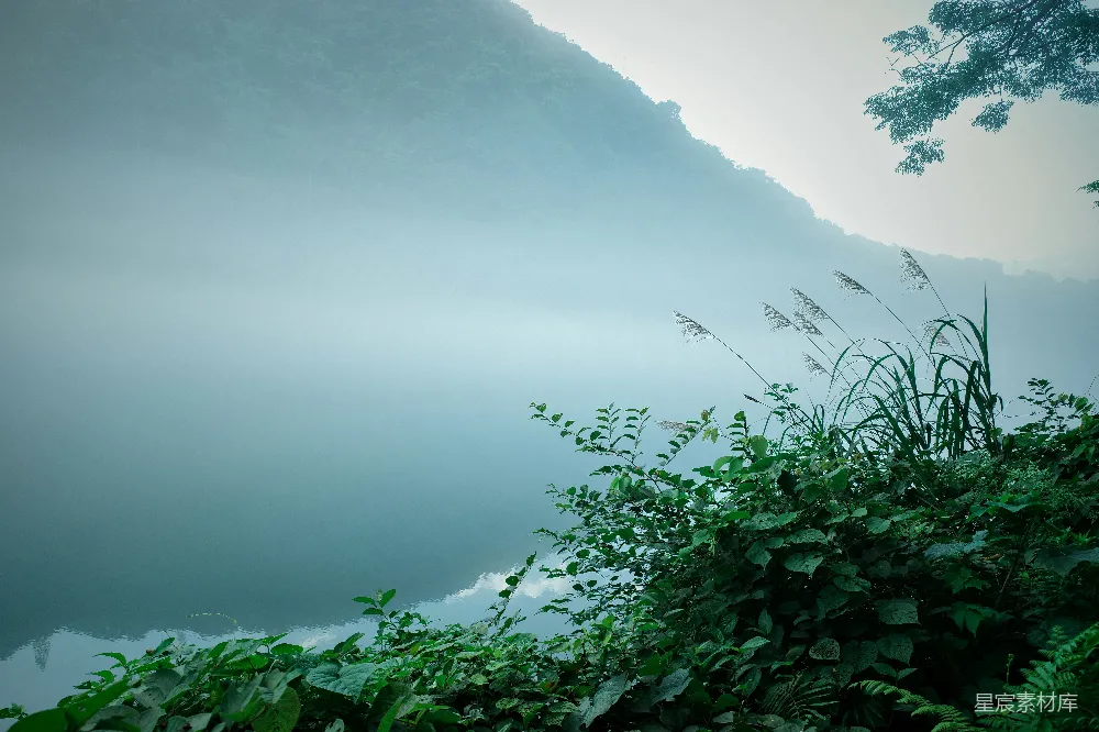 高清摄影 风景 自然 宁静 湖泊 雾气 雾中的宁静湖畔