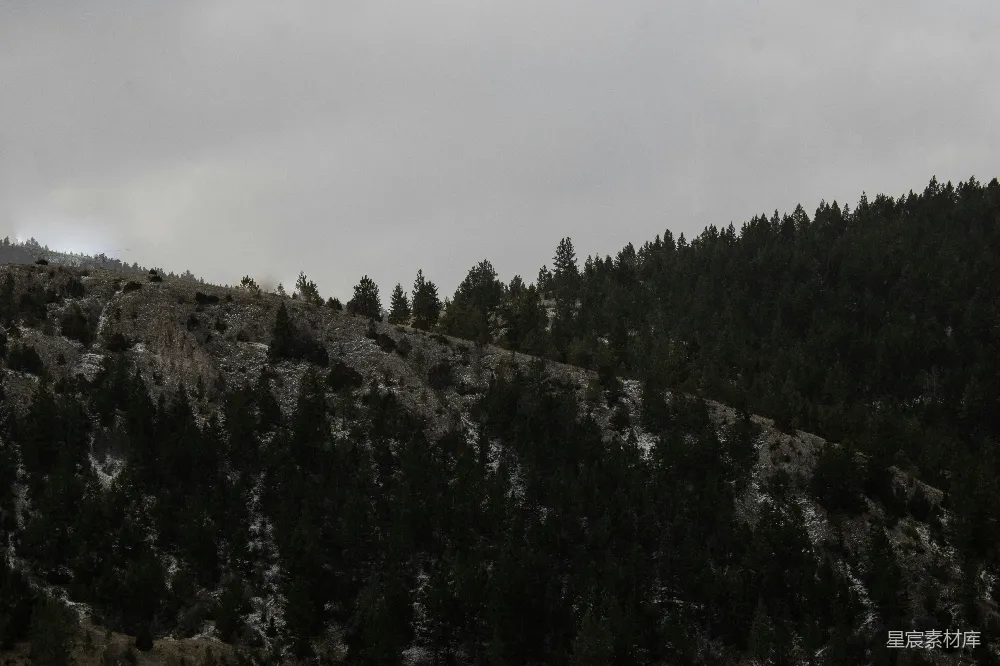 高清摄影 山林 冬季 自然 宁静 风景 冬日山林的静谧