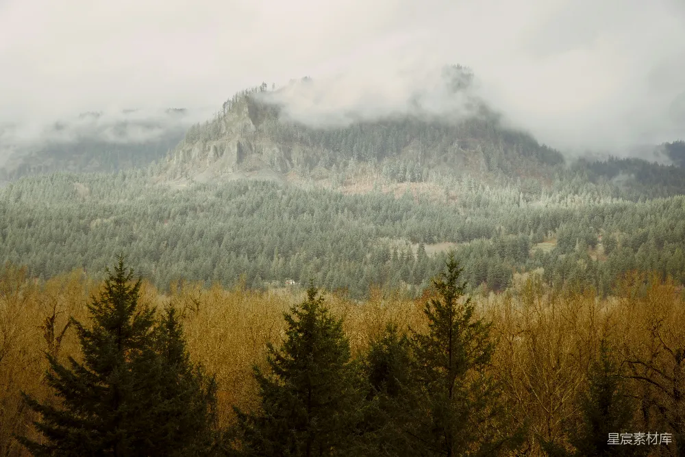 高清摄影 自然风光 山景 森林 宁静 雾景 雾中森林的宁静山景
