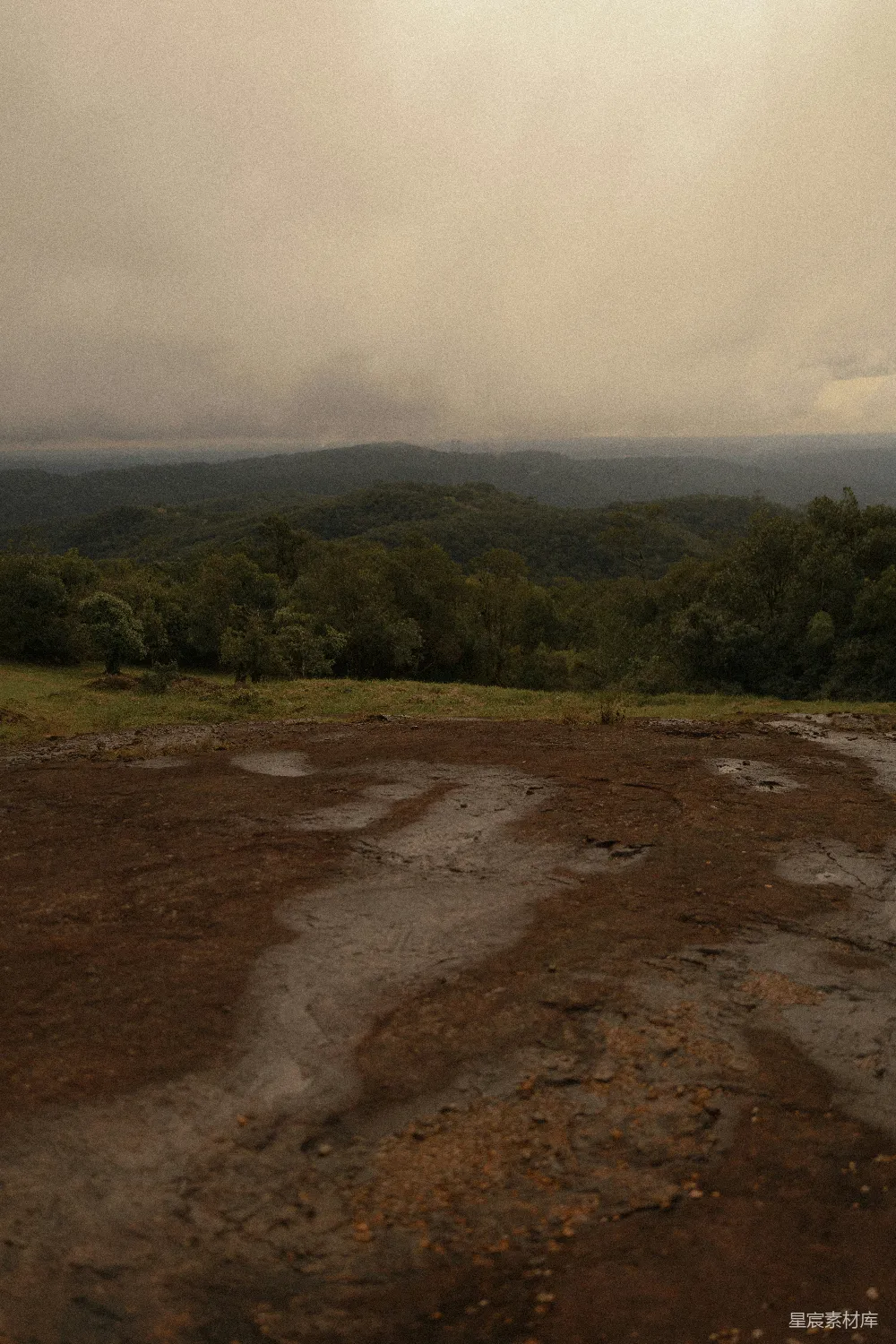 高清摄影 山林 雨后 宁静 自然 风景 雨后山林的宁静