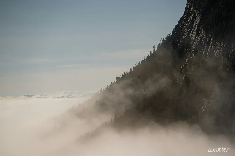 高清摄影 山林 雾气 自然 宁静 风景 雾中的山林