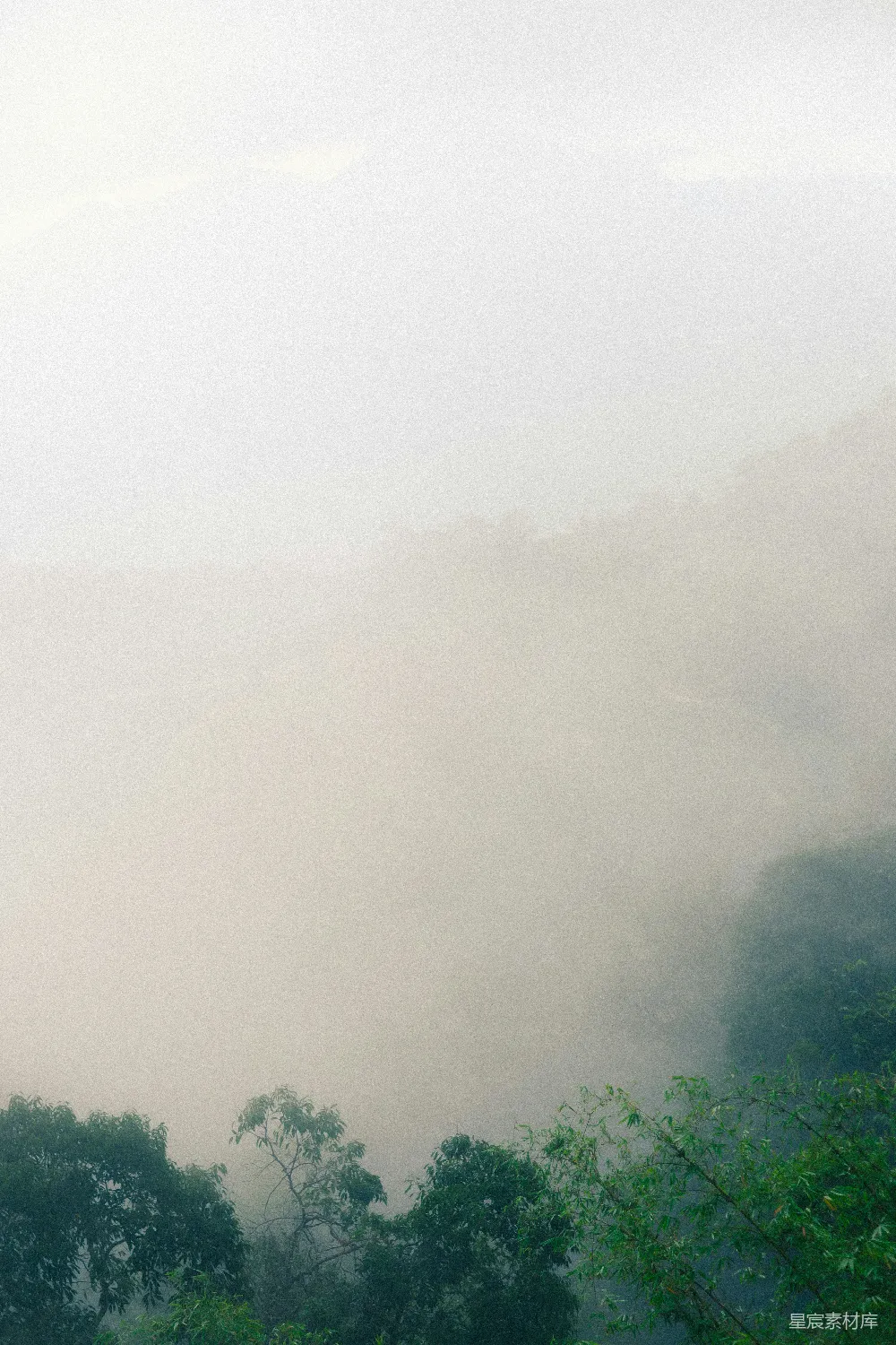 高清摄影 自然风景 清晨 雾气 山林 宁静 雾中山景