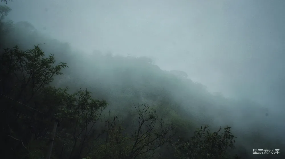 高清摄影 雾景 自然风光 山林 宁静 户外 雾中的山林