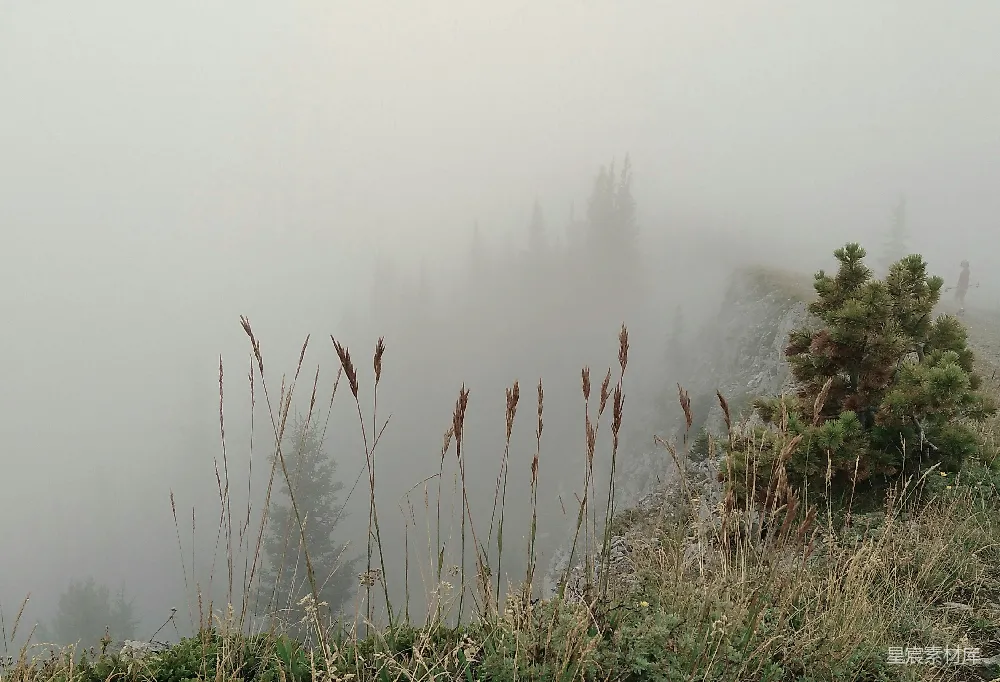 高清摄影 雾气 山脉 自然 宁静 户外 雾中静谧的山景