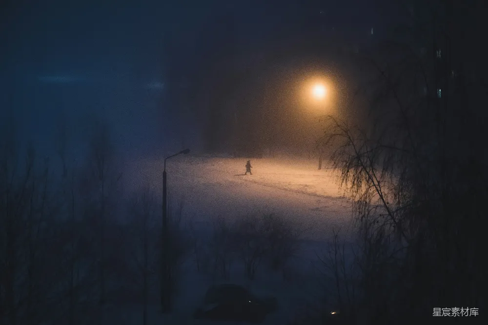 高清摄影 冬夜 迷雾 孤独 路灯 雪景 冬夜迷雾中的孤独身影