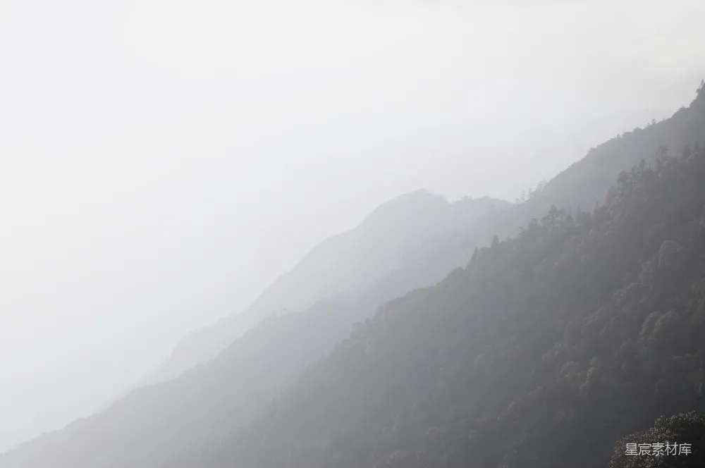 高清摄影 山景 雾气 自然风光 宁静 户外 雾中的山林