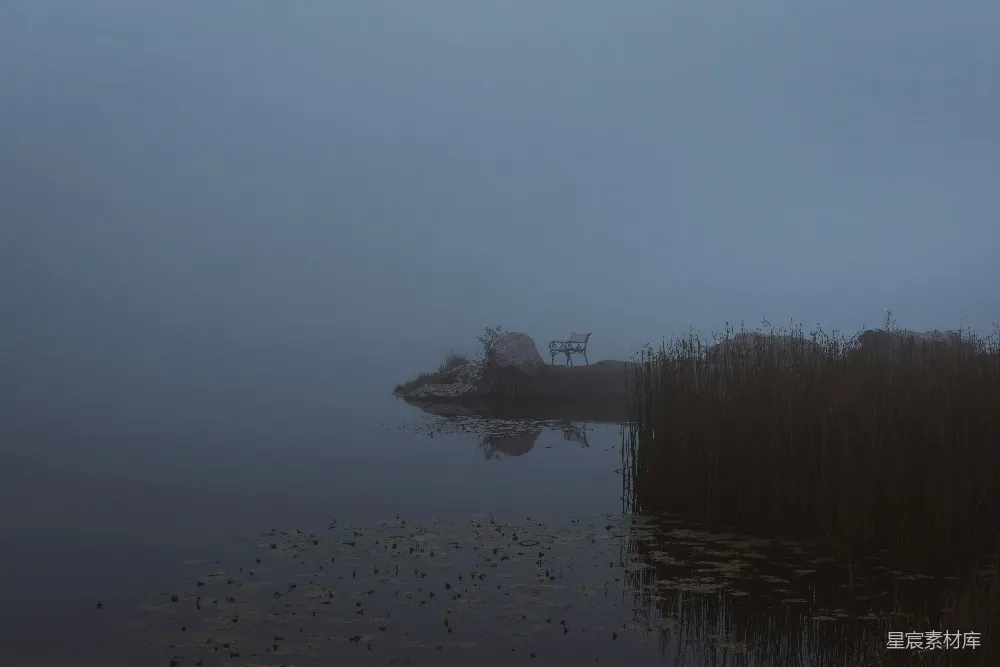 高清摄影 湖景 雾气 宁静 自然 摄影 雾中静谧的湖畔