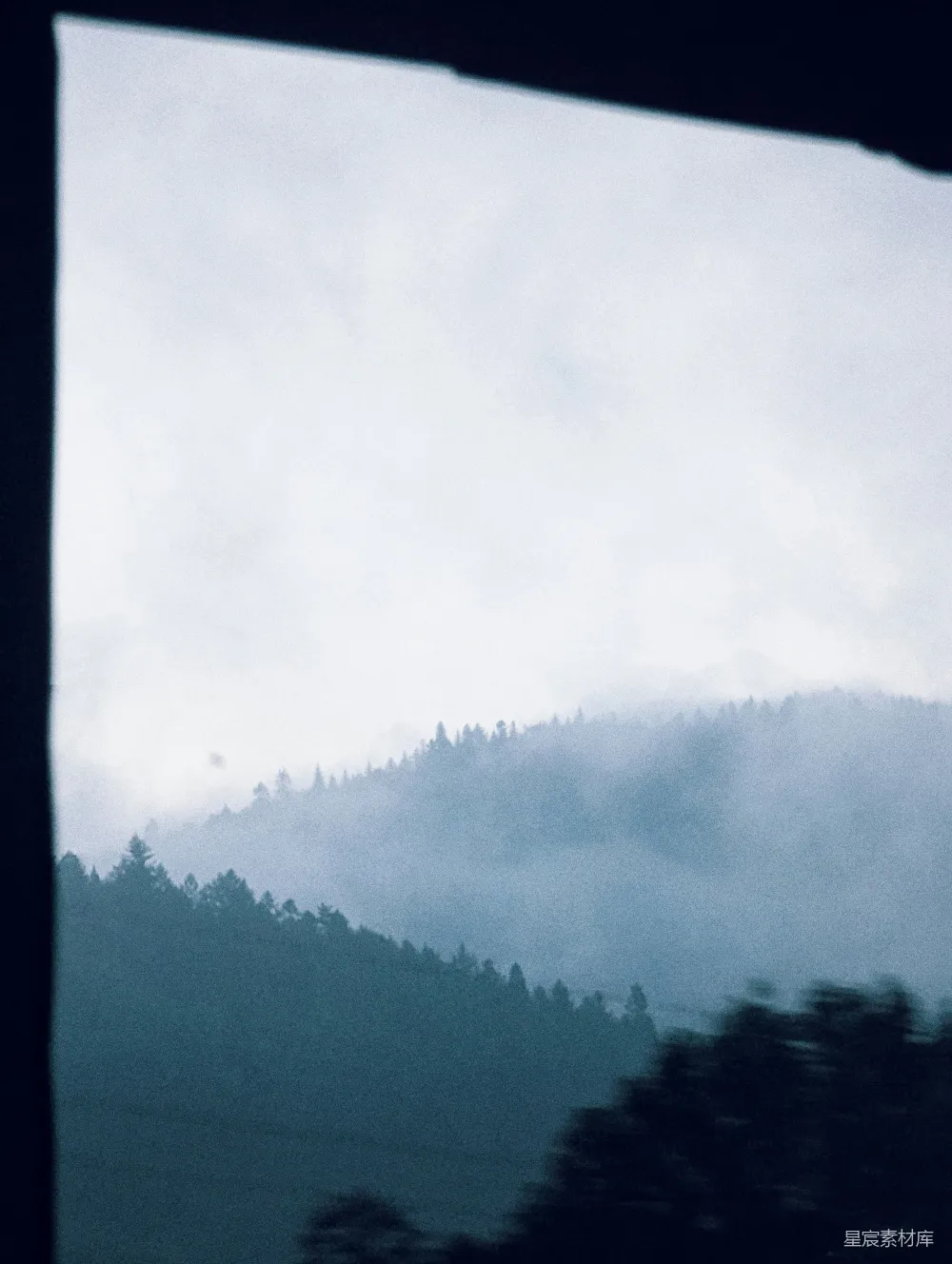 高清摄影 自然 风景 雾气 宁静 户外 雾中的森林