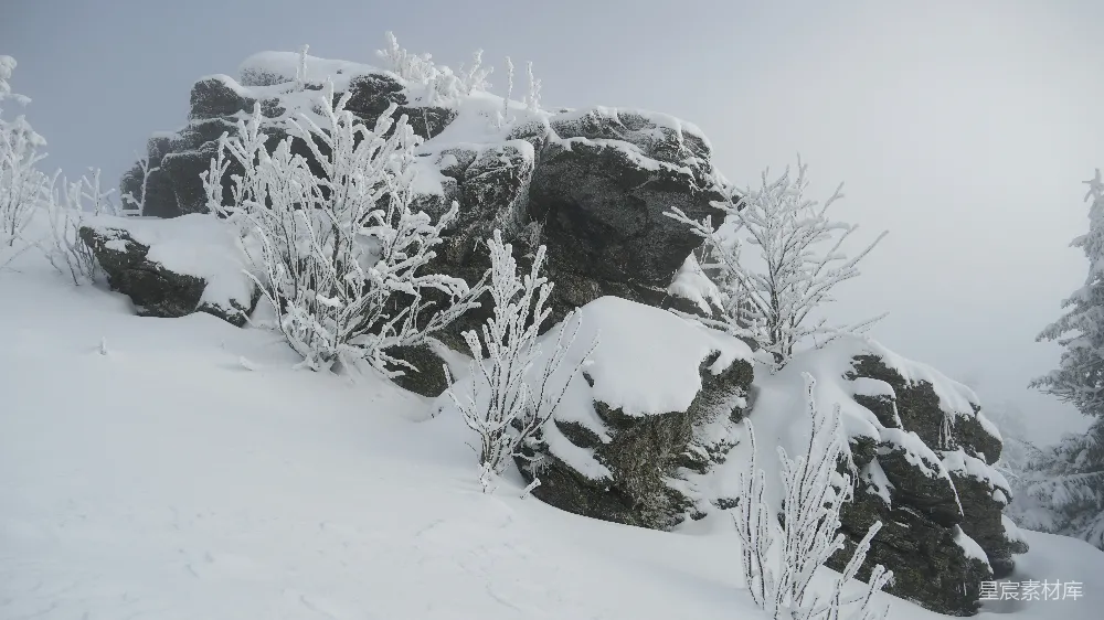 高清摄影 雪景 岩石 冬季 自然风光 户外 雪景中的岩石