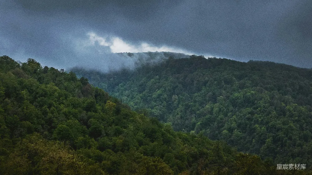 高清摄影 自然风光 山林 雾气 宁静 风景 山林中的雾气