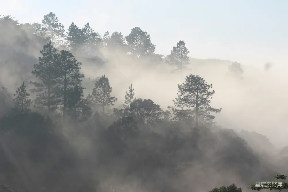 高清摄影 自然风光 山林 晨雾 宁静 户外 雾绕山林