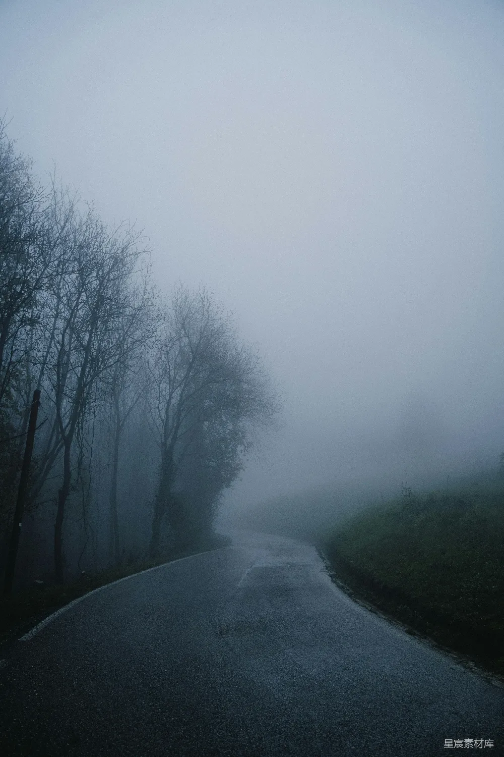 高清摄影 乡村 雾景 宁静 小路 自然 雾中寂静的乡村小路
