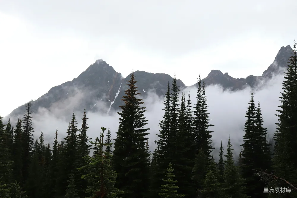 高清摄影 山脉 云雾 森林 自然风光 旅行 云雾缭绕的山峰