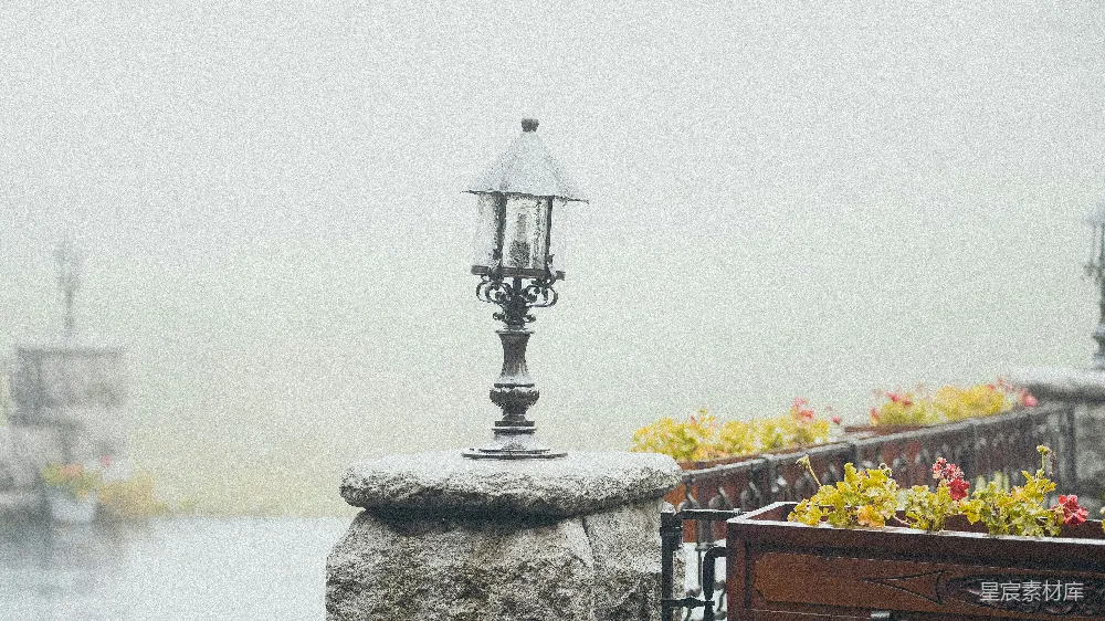 高清摄影 雨天 复古风格 城市景观 宁静氛围 花坛 雨中的复古灯与花坛
