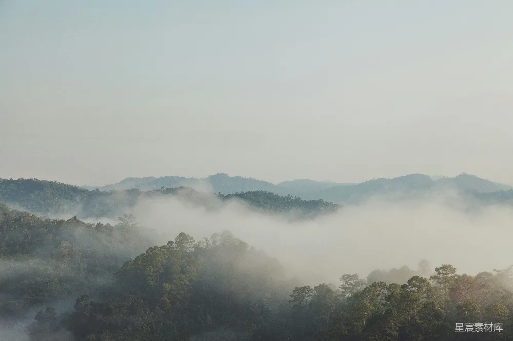 高清摄影 山林 晨雾 自然风光 宁静 清晨 晨雾中的山林