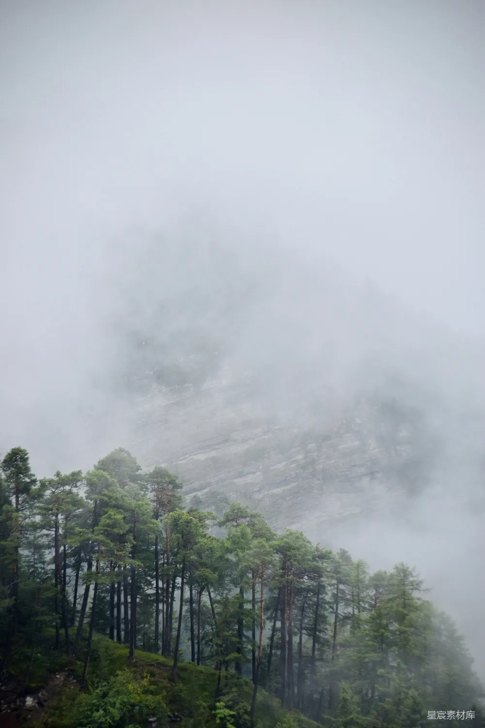 高清摄影 自然风光 山林 雾气 宁静 户外 雾中的森林与山峰