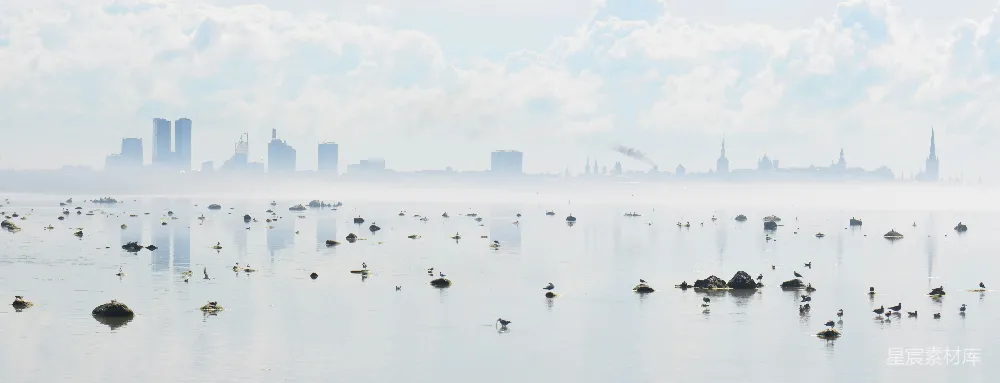 高清摄影 城市风光 晨雾 自然与城市结合 鸟类 风景摄影 晨雾中的城市与鸟群