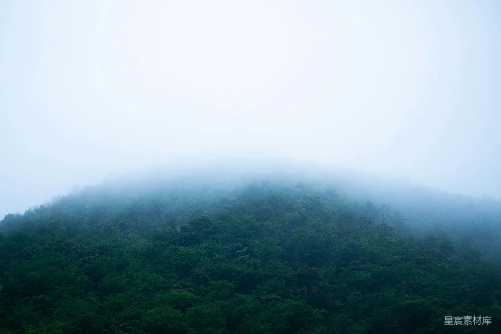 高清摄影 山林 雾气 自然 宁静 旅行 山林雾景