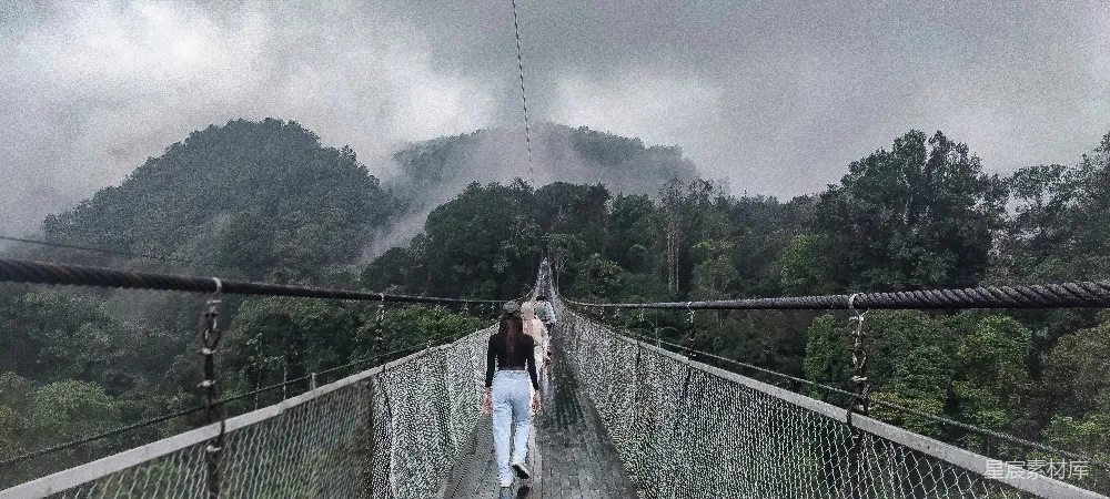 高清摄影 自然风光 户外旅行 吊桥 森林 雾气 雾中森林吊桥漫步