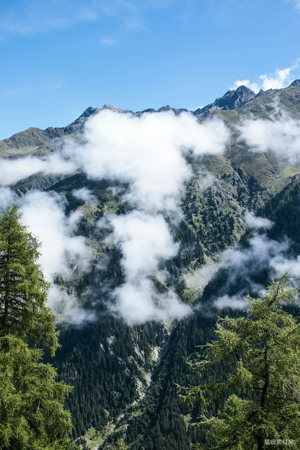 高清摄影 山景 云雾 森林 自然 户外 云雾缭绕的山间森林