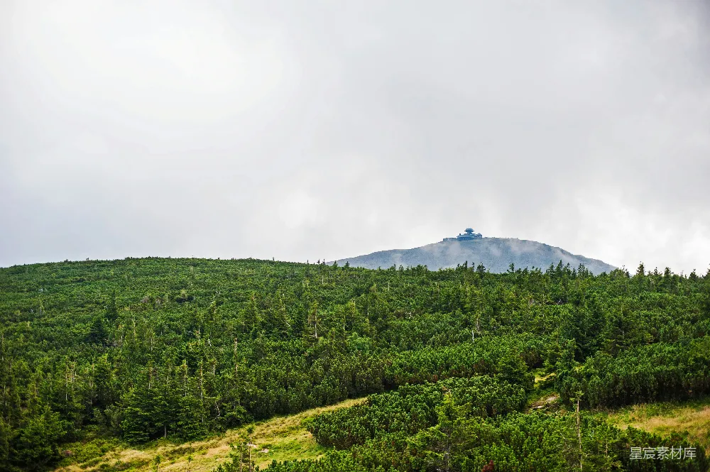 高清摄影 自然景观 森林 建筑 山丘 户外 远处山丘上的建筑与松林