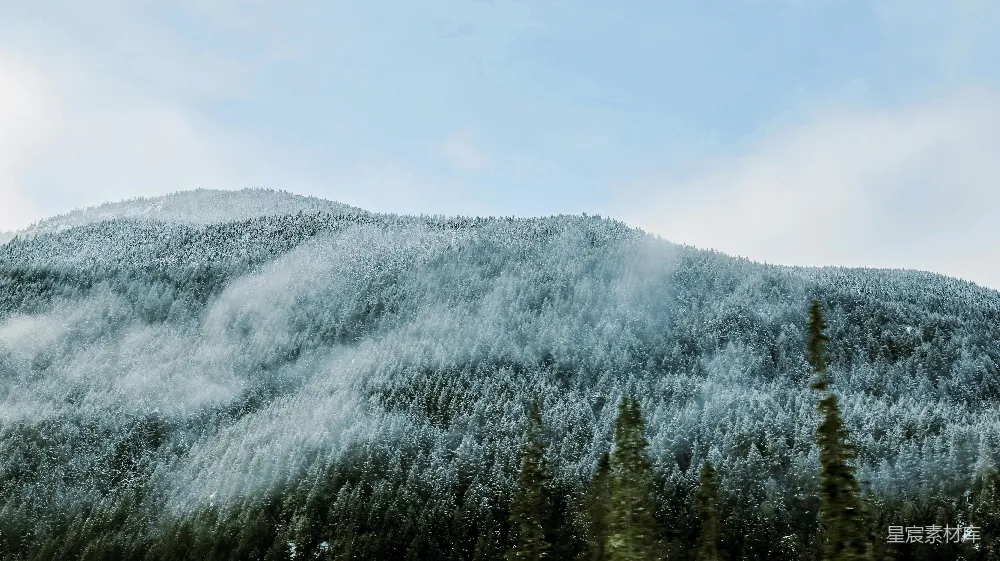 高清摄影 山林 冬季 自然风光 宁静 雪景 冬日山林