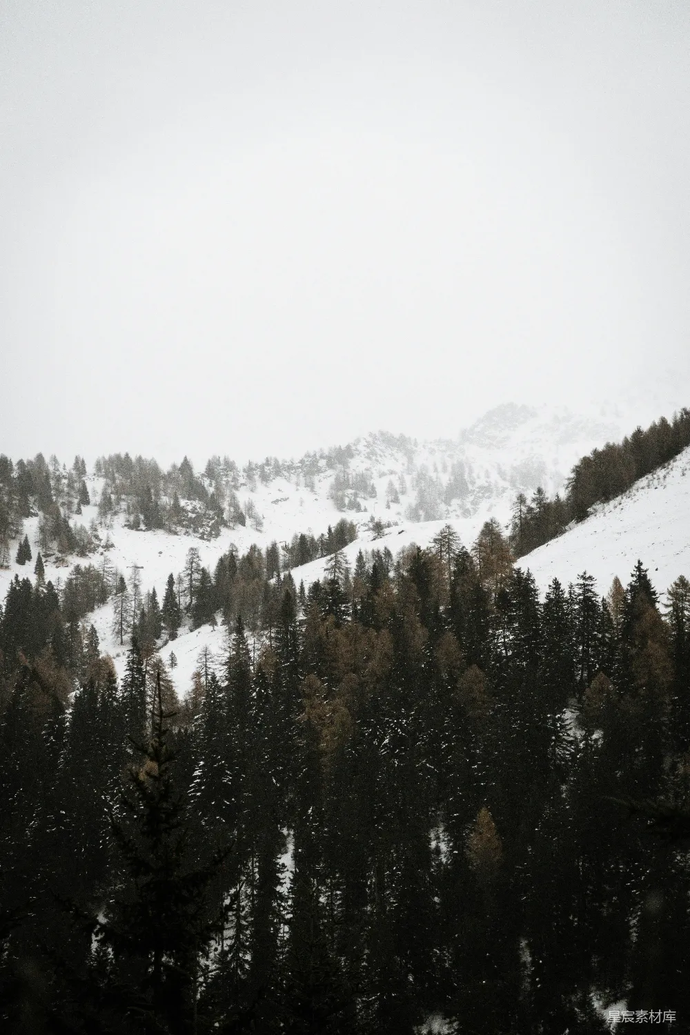 高清摄影 自然风光 冬季 森林 山脉 宁静 雪中的森林与山脉