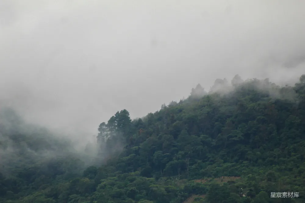高清摄影 山景 自然风光 雾气 森林 户外 雾中青山