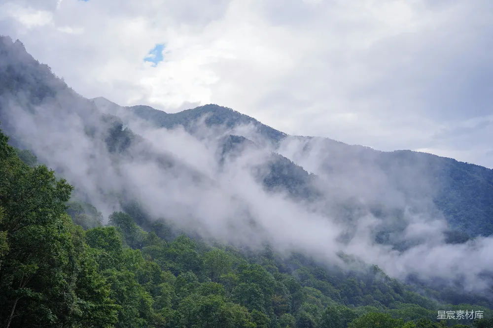 高清摄影 自然风光 山林 云雾 宁静 户外 雾绕山间