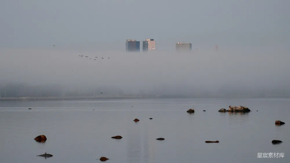 高清摄影 城市 雾景 湖泊 宁静 自然 雾中城市与宁静湖面