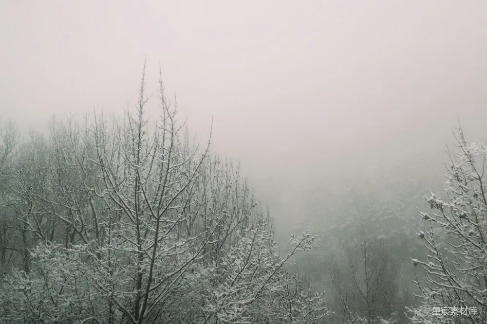 高清摄影 雪景 雾凇 自然风光 冬季 森林 冬日雾凇森林