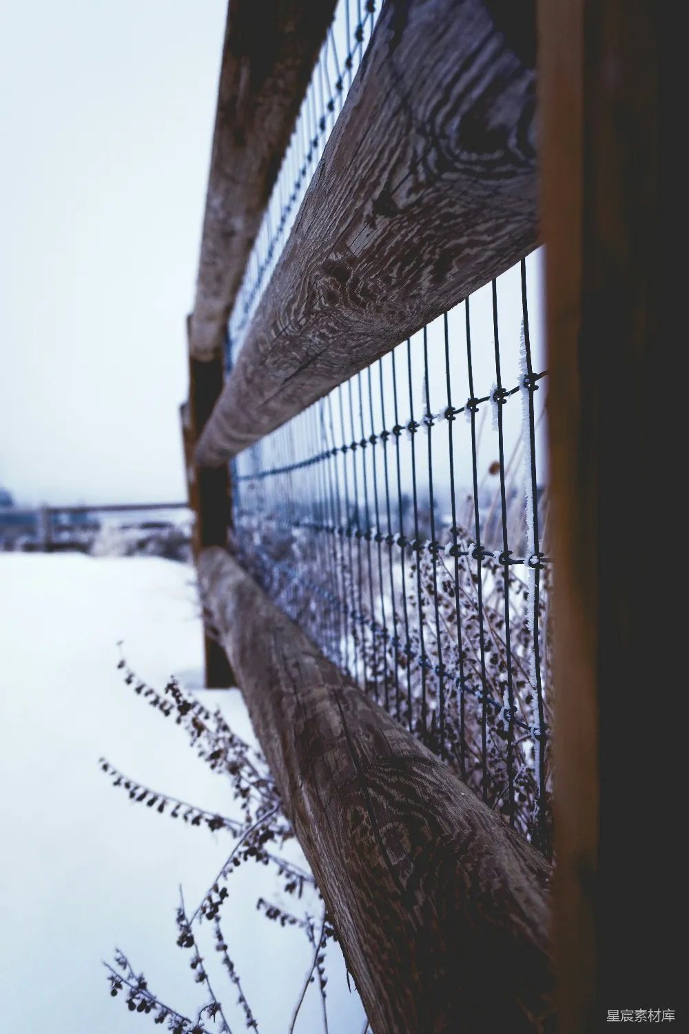 高清摄影 冬季 雪景 铁丝网 自然 乡村 冬日雪景中的铁丝网