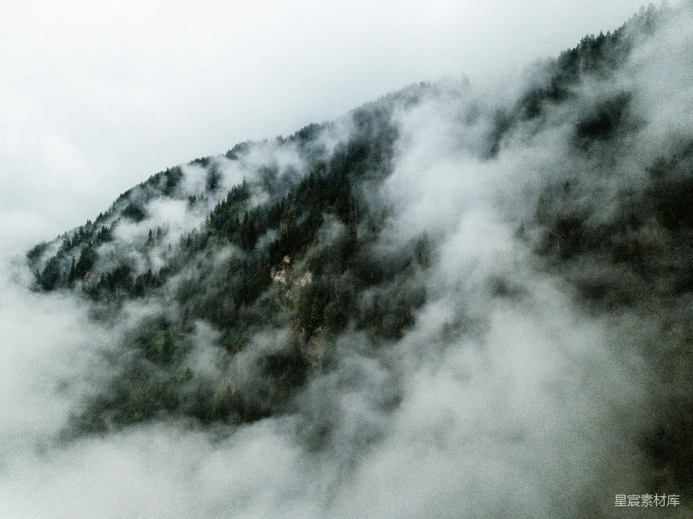 高清摄影 山林 云雾 自然 宁静 户外 云雾缭绕的山林