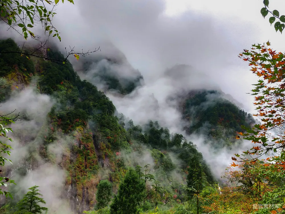 高清摄影 山林 云雾 自然 秋天 风景 云雾缭绕的山林