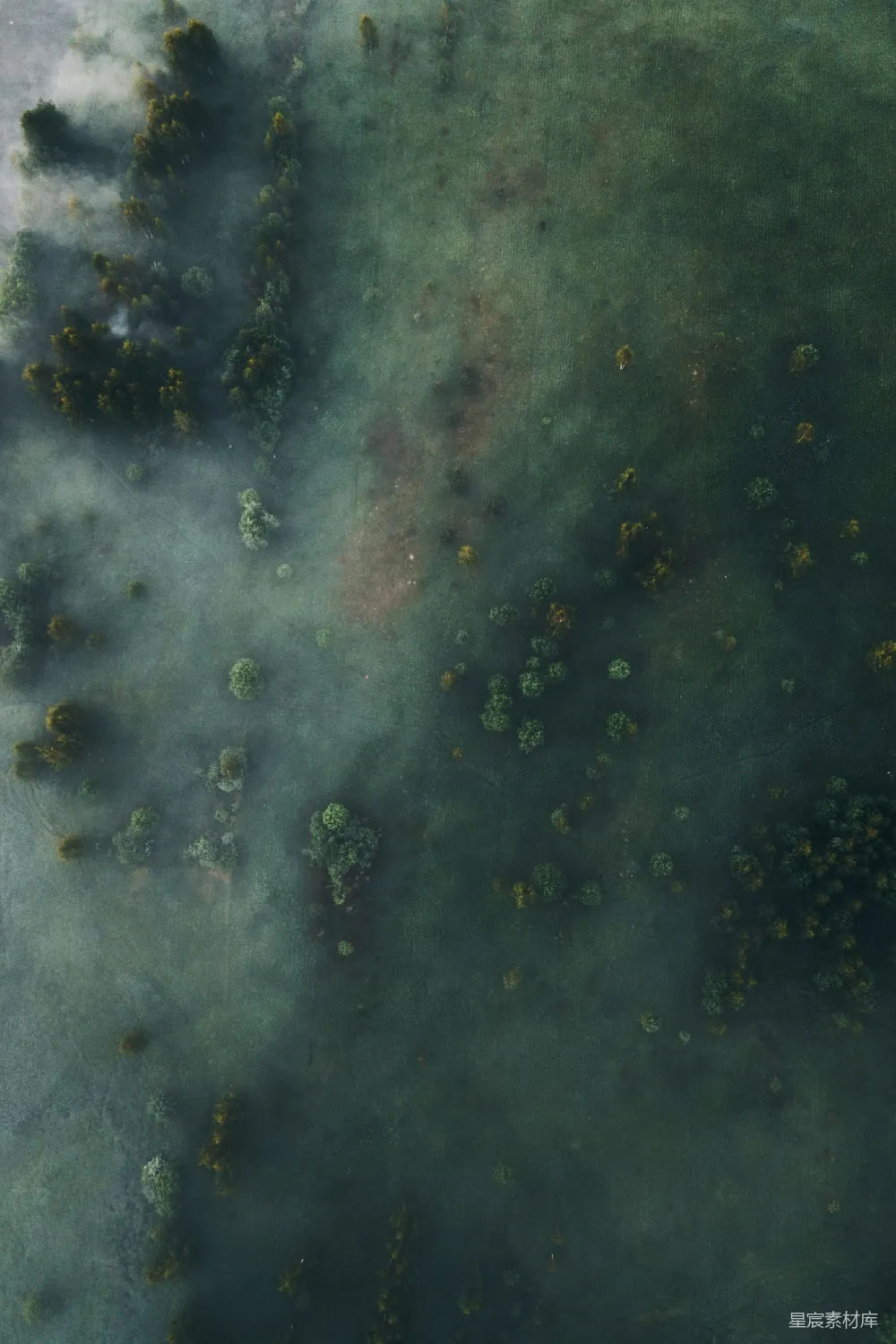 高清摄影 自然 航拍 森林 雾气 宁静 雾中的森林航拍图