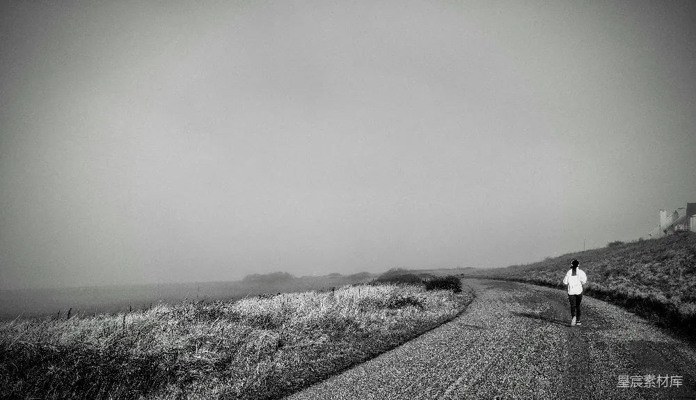 高清摄影 旅行 旅行者 雾气 孤独 风景 雾中独行