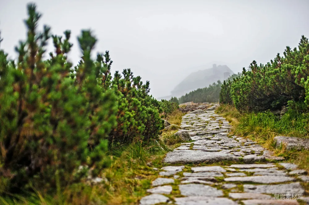 高清摄影 自然风光 石路 山景 雾气 徒步 石径通幽，雾中山景