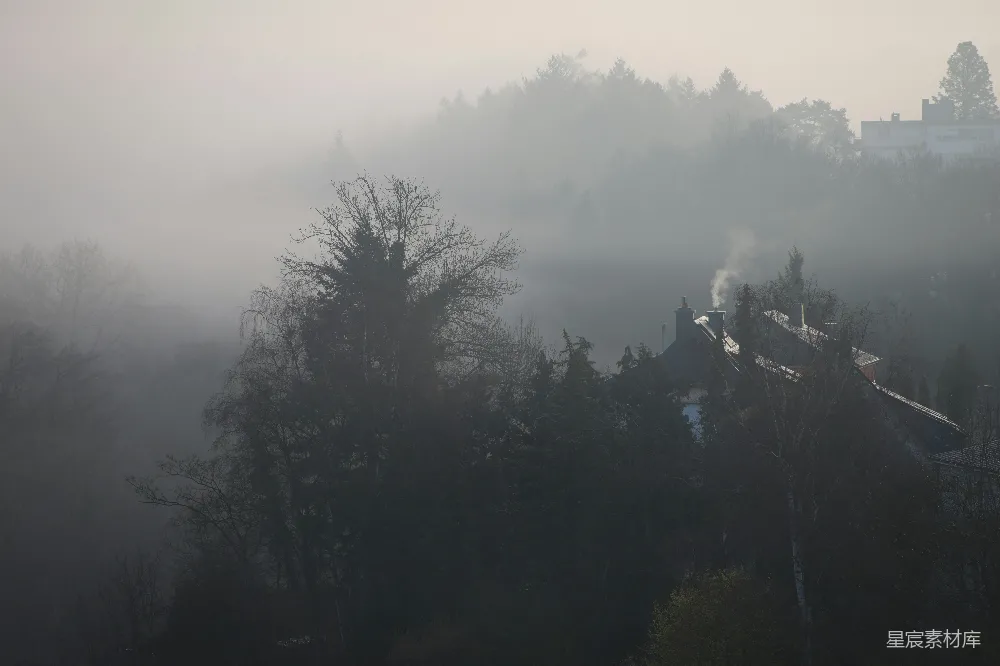 高清摄影 自然 晨雾 乡村 风景 宁静 雾中的宁静小镇