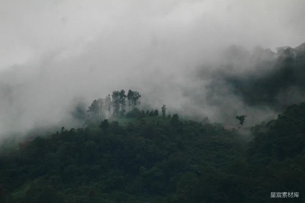 高清摄影 雾 山 森林 自然 宁静 雾中的山峦