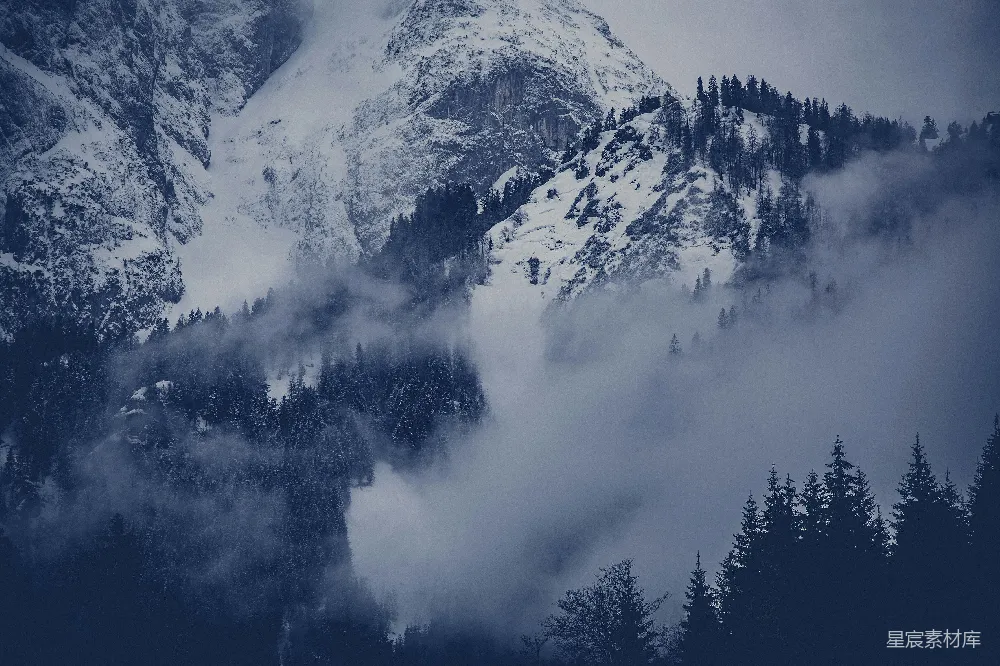 高清摄影 山景 雾气 森林 自然 冬季 雾中山林