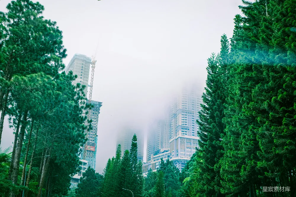 高清摄影 城市 森林 雾气 自然与现代 都市风景 雾中城市与森林的和谐